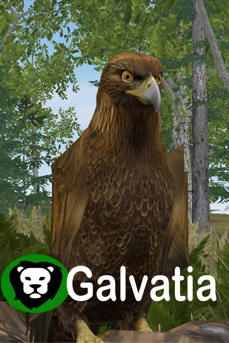 Galacide Steam CD Key