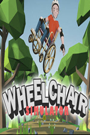 Wheelchair Simulator